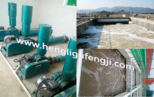 吉林金玉鼎污水處理現場